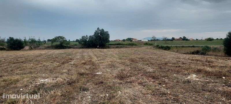 Terreno com possibilidade de construção para industria tipo C e D. - Grande imagem: 3/8