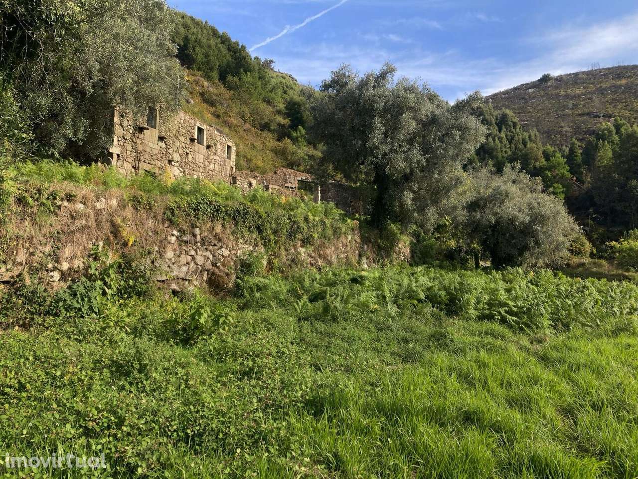 Terreno com Ruínas em Pedra (1840) para Construção – Rio Âncora | Mont - Grande imagem: 5/8