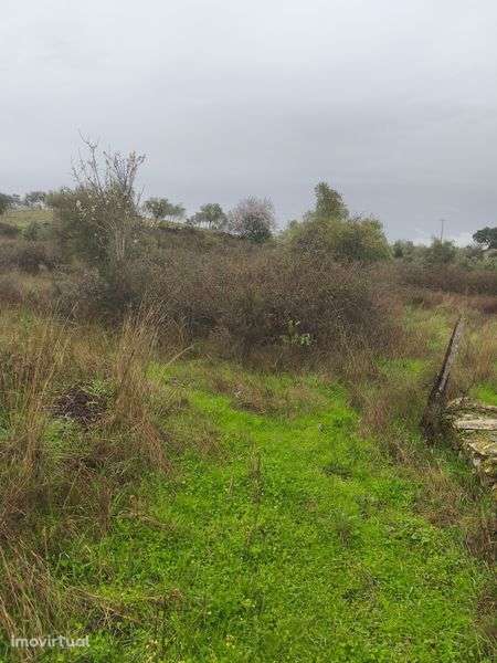 Terreno rústico em Moncorvo - Grande imagem: 4/8