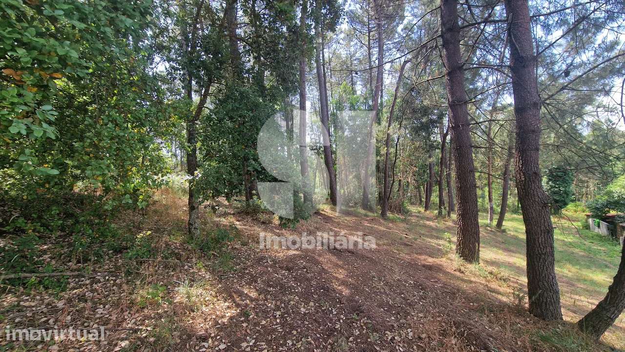 TERRENO EM GANDRA, PAREDES | 2.558 M² - Grande imagem: 5/41