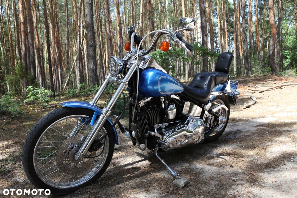 Harley-Davidson Softail - 3