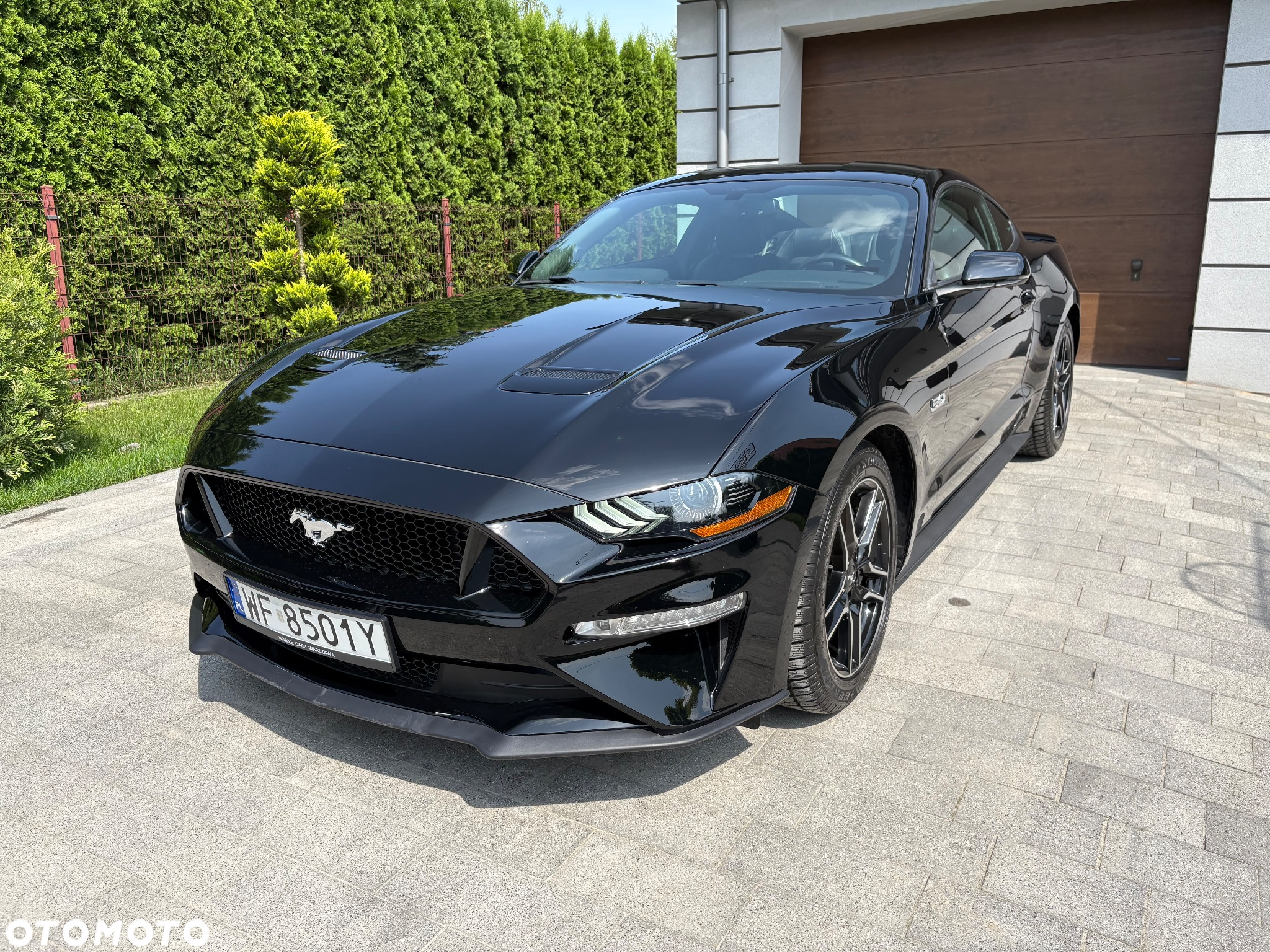 Ford Mustang Fastback 5.0 Ti-VCT V8 MACH1 - 2
