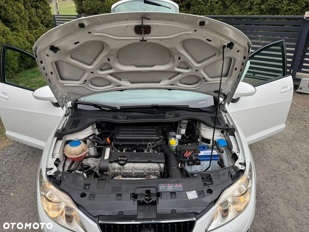 Seat Ibiza 1.4 16V Passion - 24