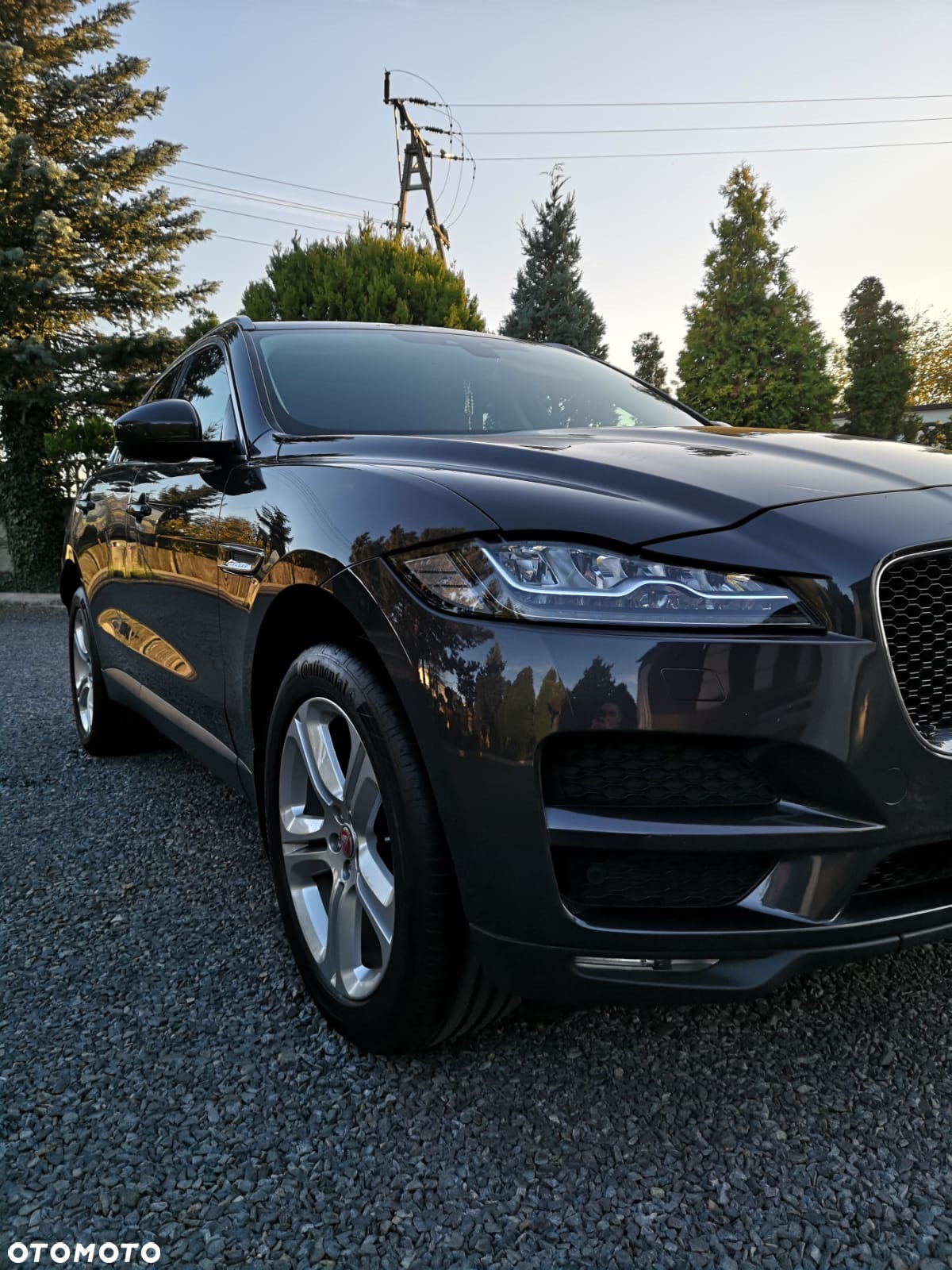 Jaguar F-Pace 2.0 i4D AWD Prestige - 6