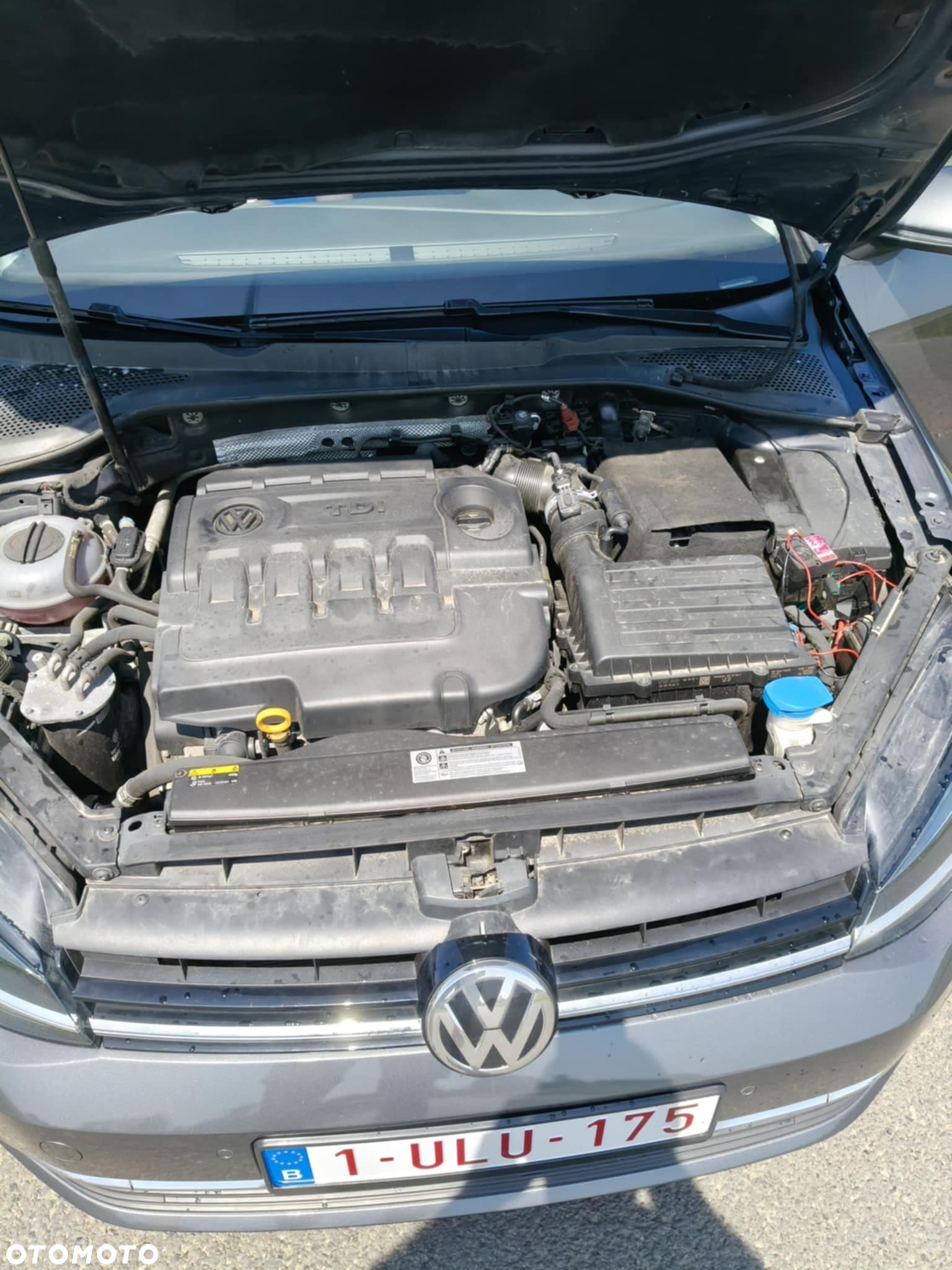 Volkswagen Golf VII 1.6 TDI BMT Comfortline - 24