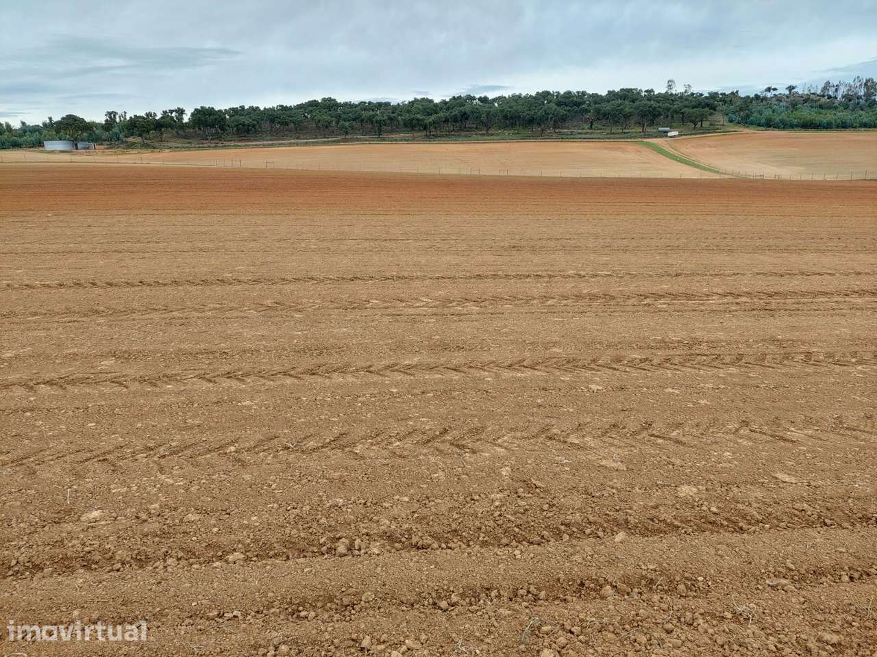 Herdade Alto Alentejo - Grande imagem: 2/8
