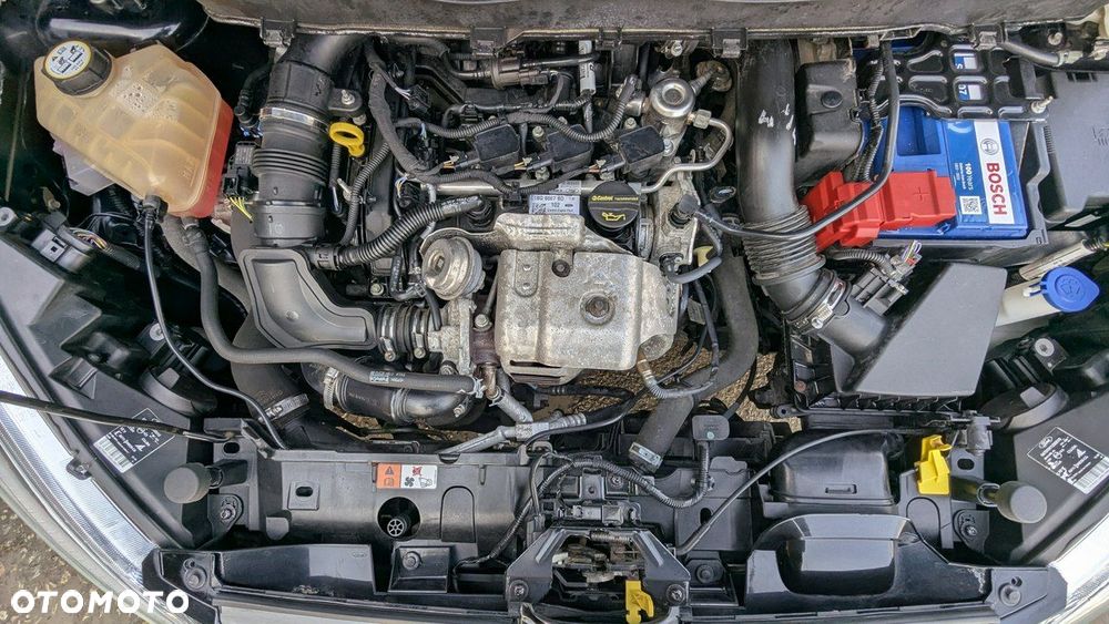 Ford B-MAX - 38