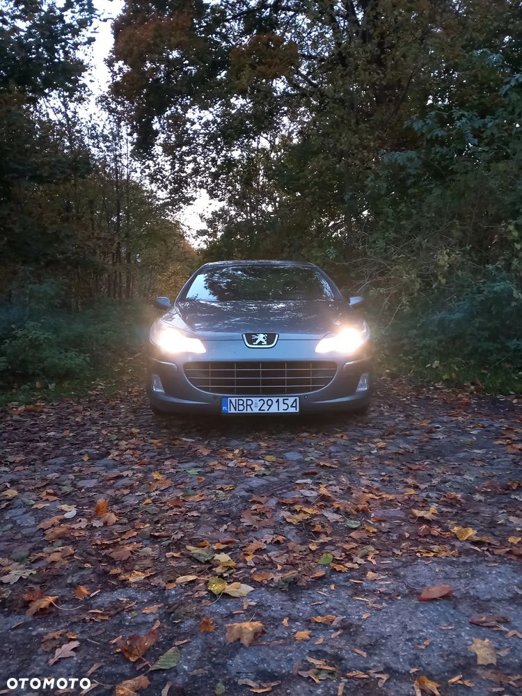 Peugeot 407 - 15