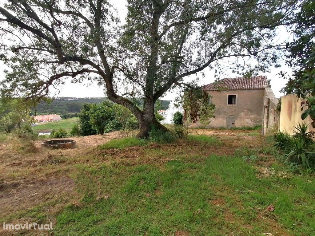 Terreno em Óbidos com grande potencial para plano urbanístico - Grande imagem: 5/12