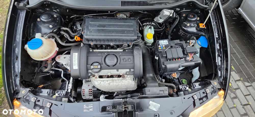 Seat Ibiza - 31