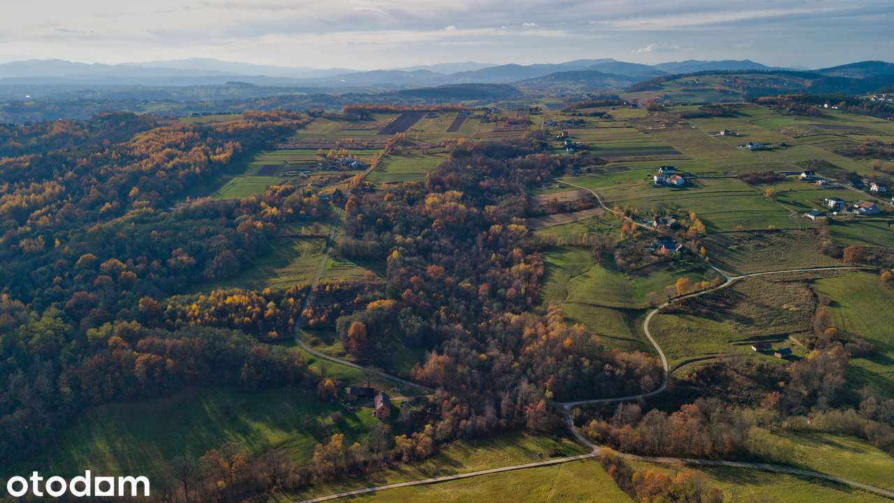 Działka rolna + rolno-leśna  3,5 ha - TRZETRZEWINA - Pełny obrazek: 2/4