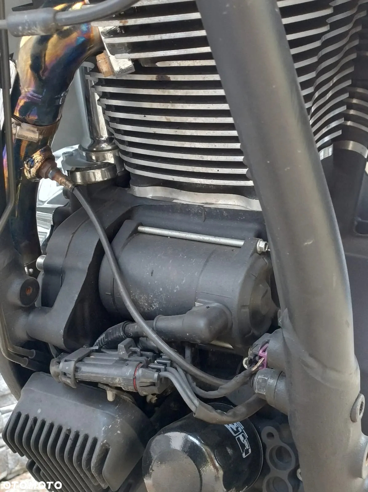 Indian Chief - 19