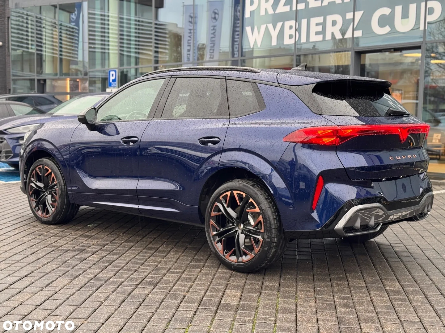 Cupra Terramar 2.0 TSI 4Drive DSG - 7