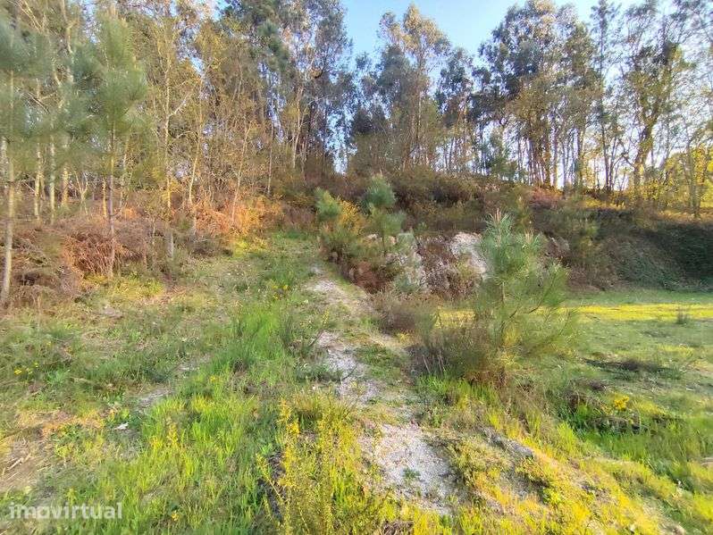 TERRENO PARA CONSTRUÇÃO -OLIVEIRA -VILA MEÃ-AMARANTE - Grande imagem: 4/7