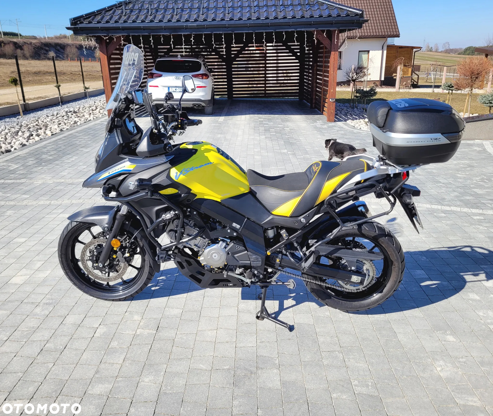 Suzuki V-STROM - 2