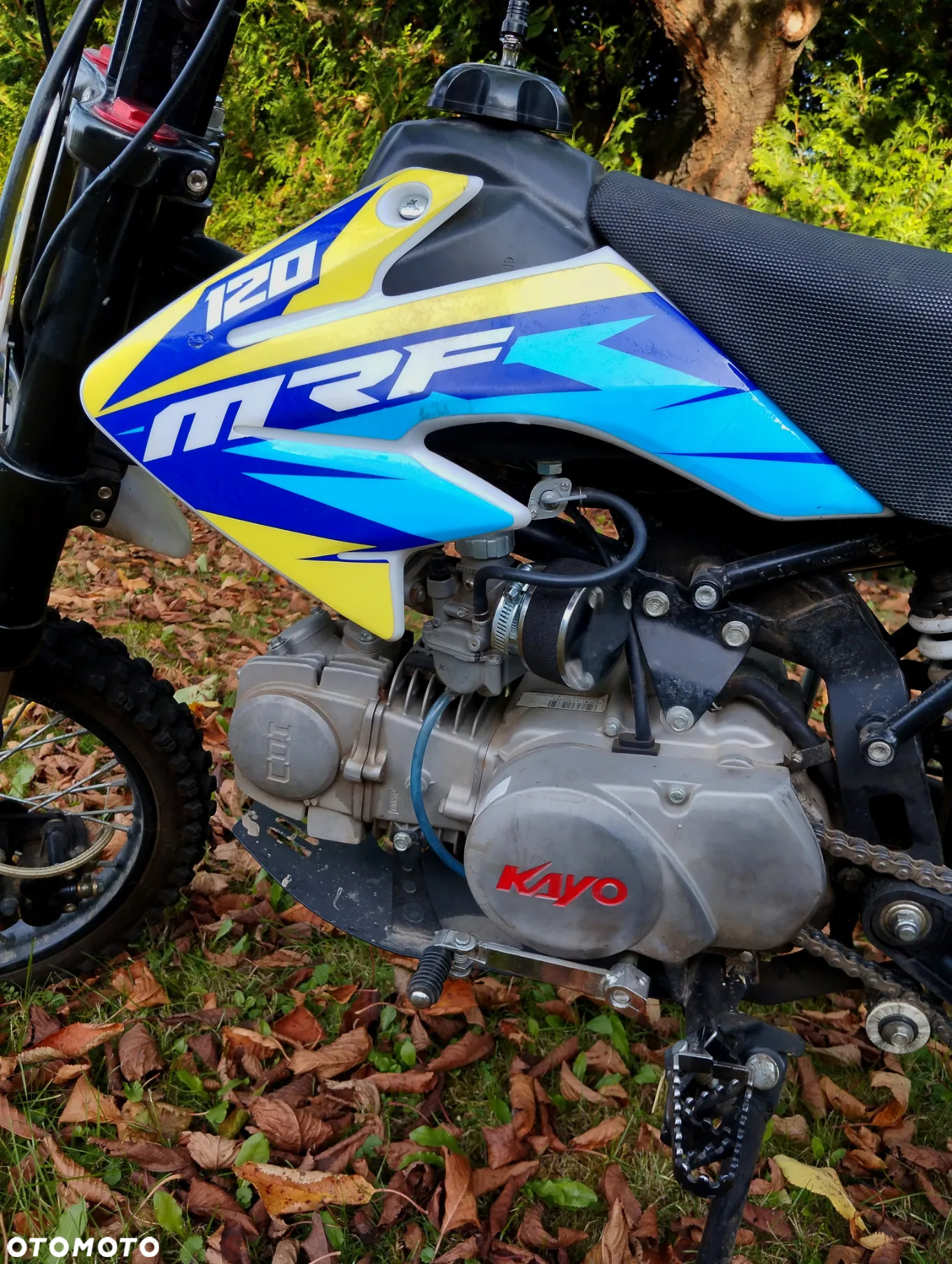 MRF Inny