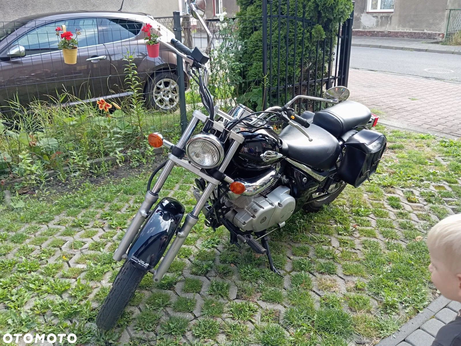 Suzuki Intruder - 1