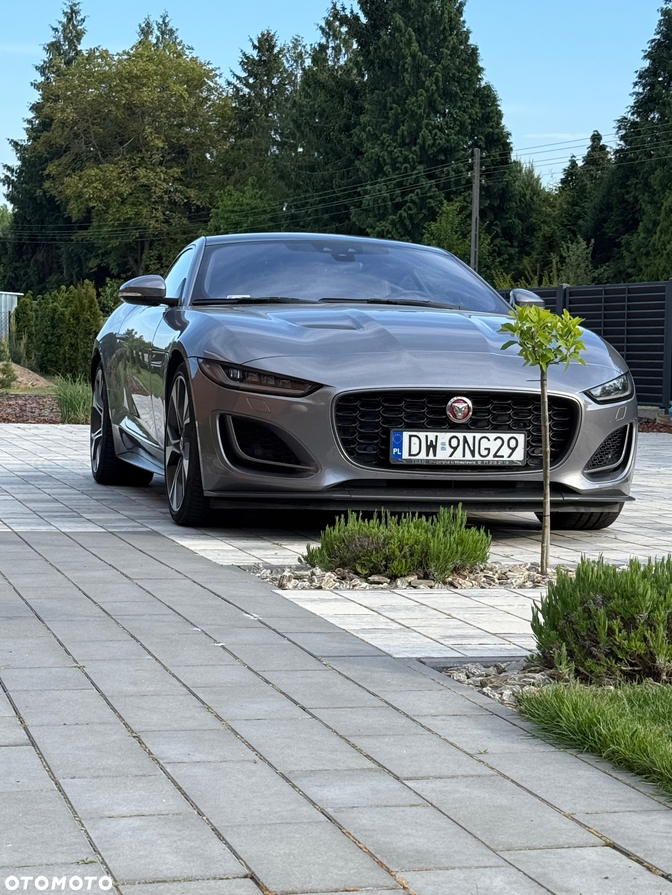 Jaguar F-Type 2.0 Turbo First Edition - 15