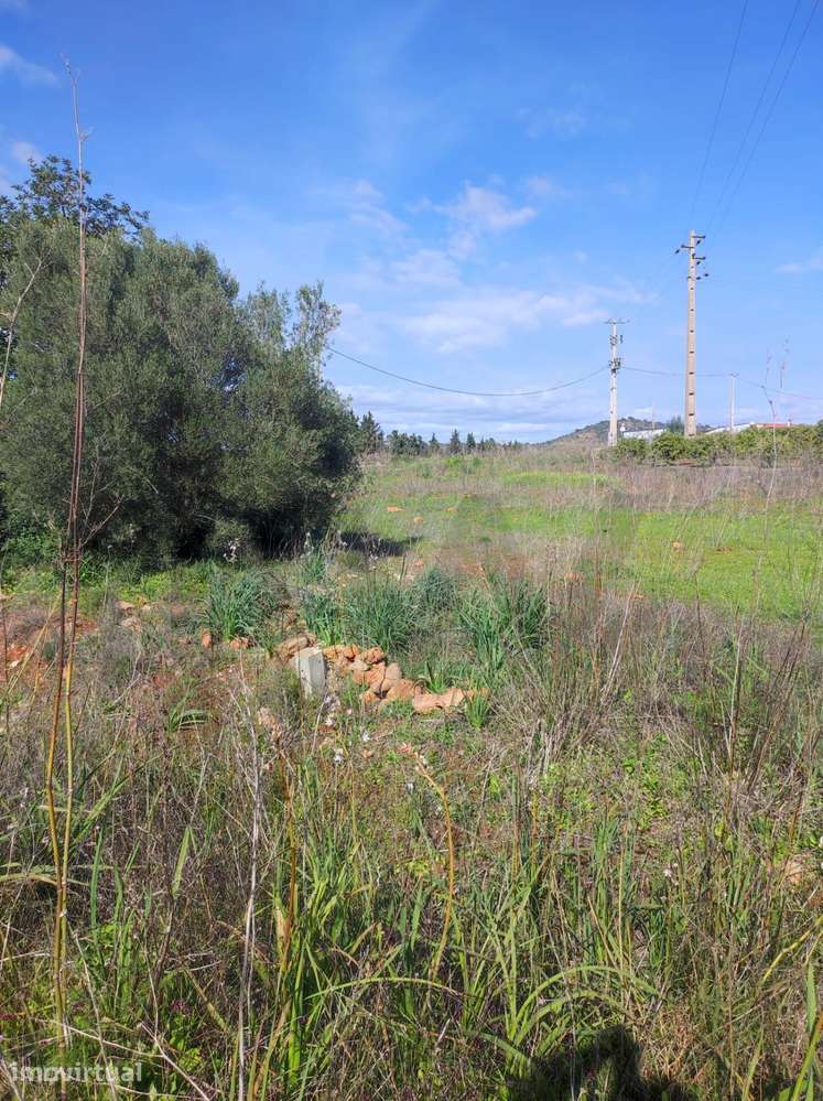 Terreno Rústico com 1200m2, Benaciate - Silves - Grande imagem: 3/15
