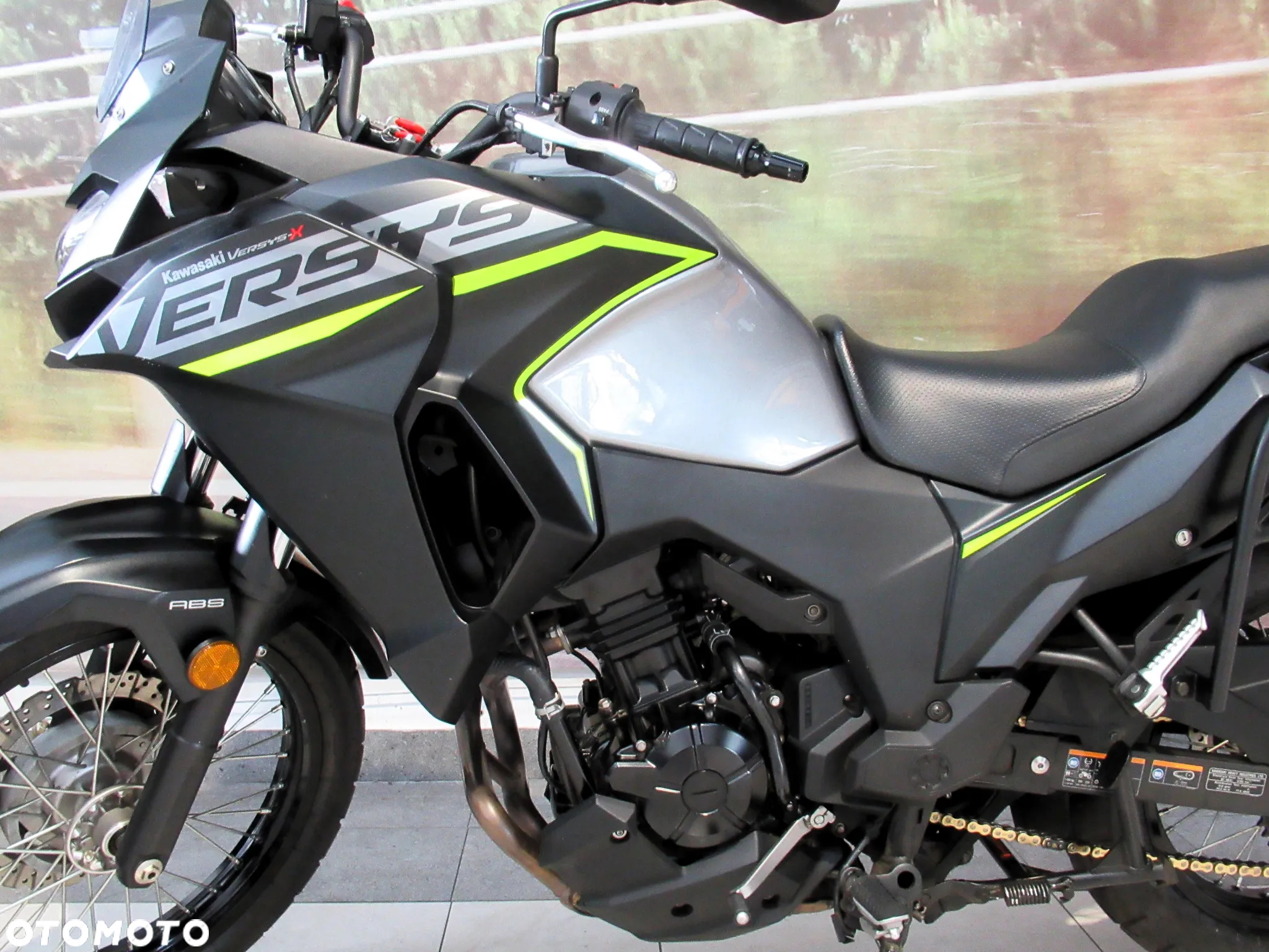 Kawasaki Versys-X 300 - 18