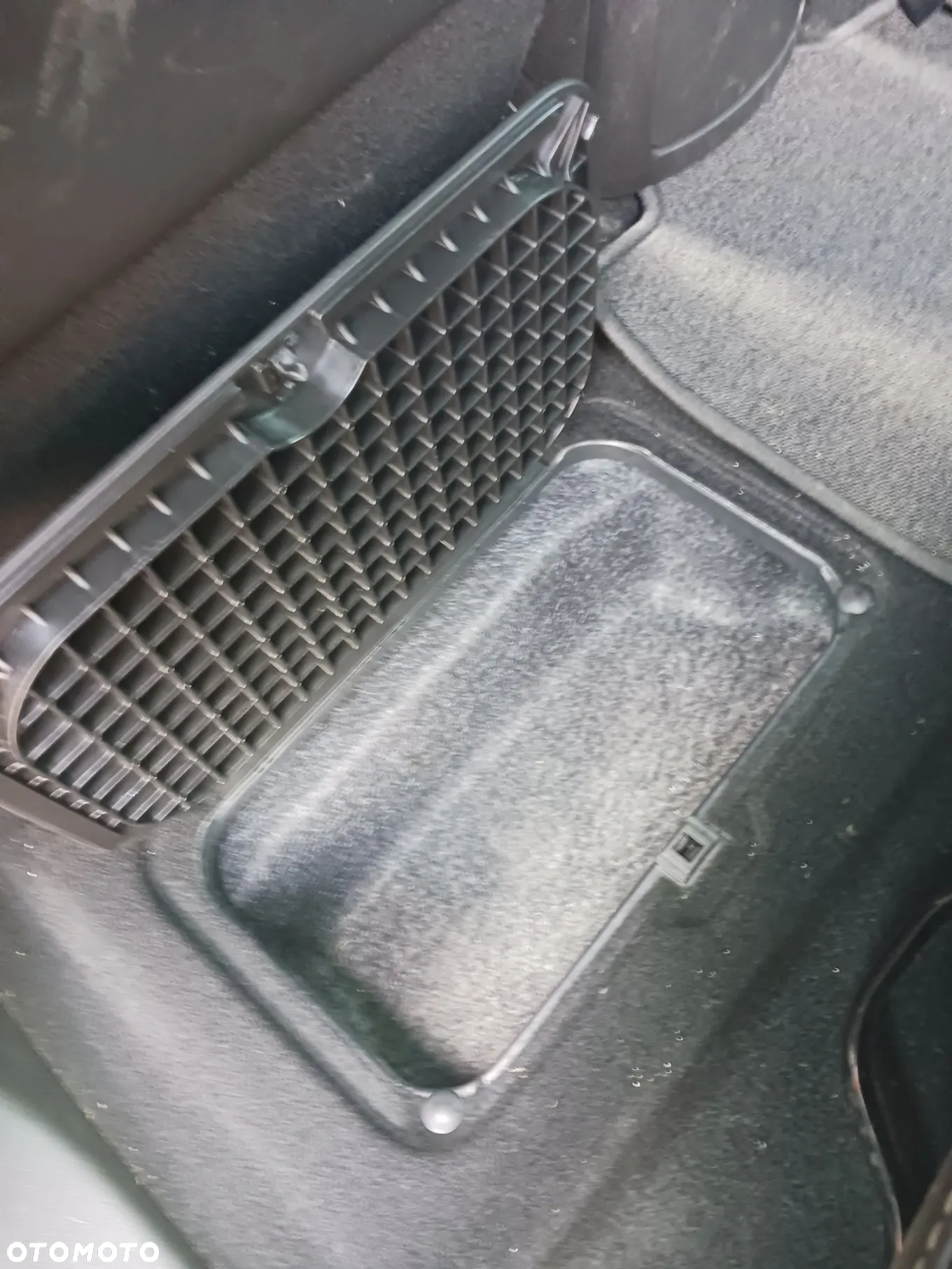 Renault Scenic - 30