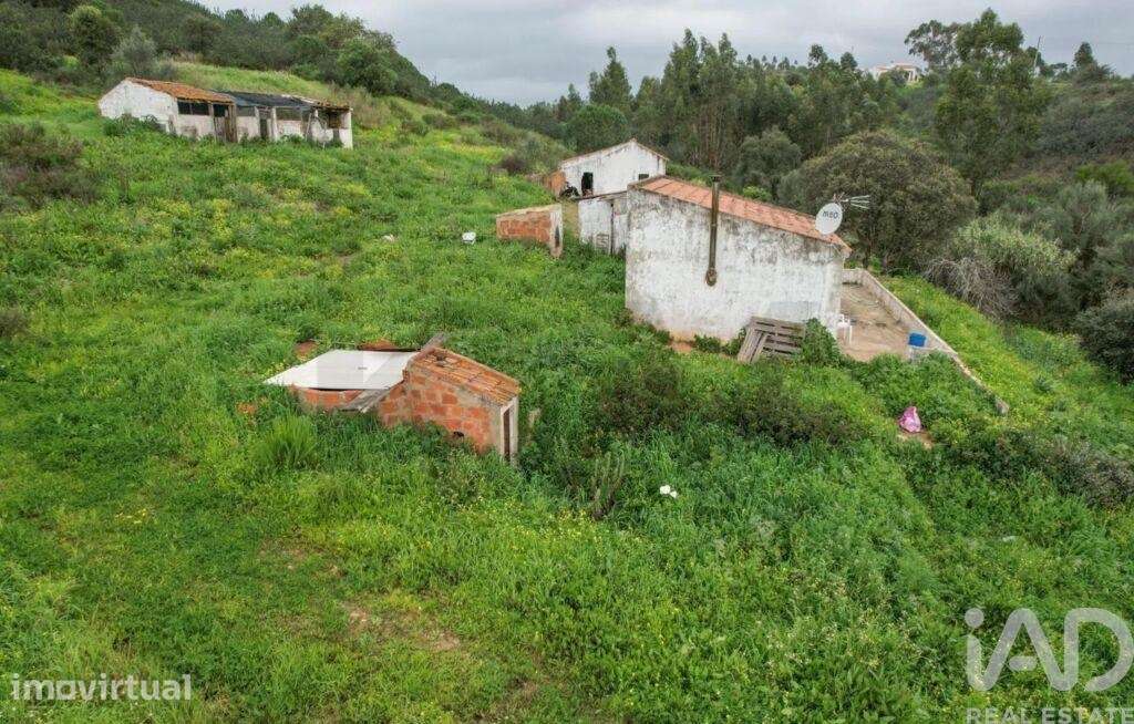 Quinta T2 em Mexilhoeira Grande de 48,88 m2 - Grande imagem: 4/15