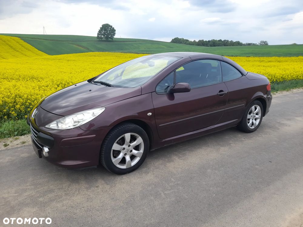 Peugeot 307 CC - 9