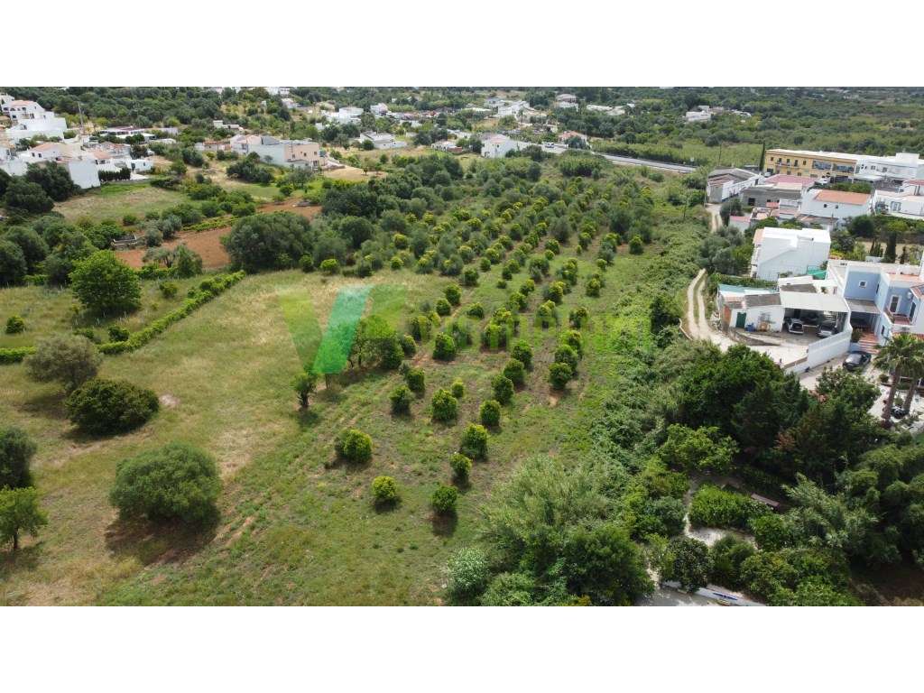 Terreno rustico em Moncarapacho, Olhão - Grande imagem: 3/23