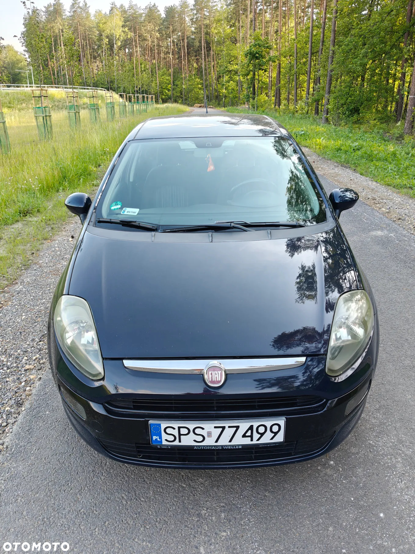 Fiat Punto Evo 1.4 8V Estiva Blue&Me - 2