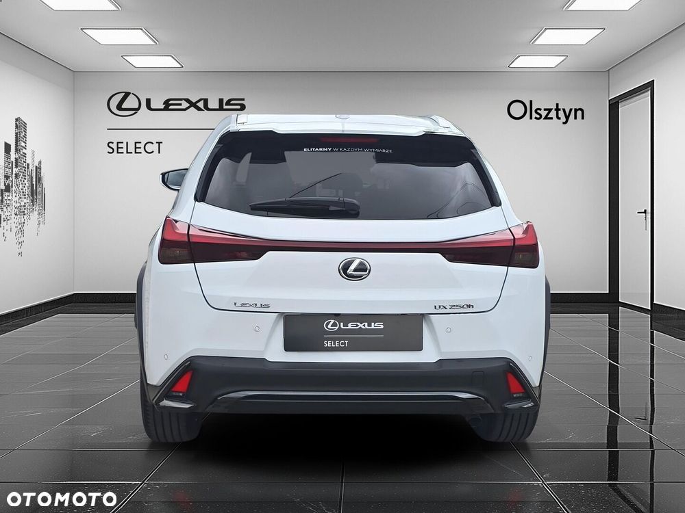 Lexus UX 250h GPF F Sport Design 2WD - 5