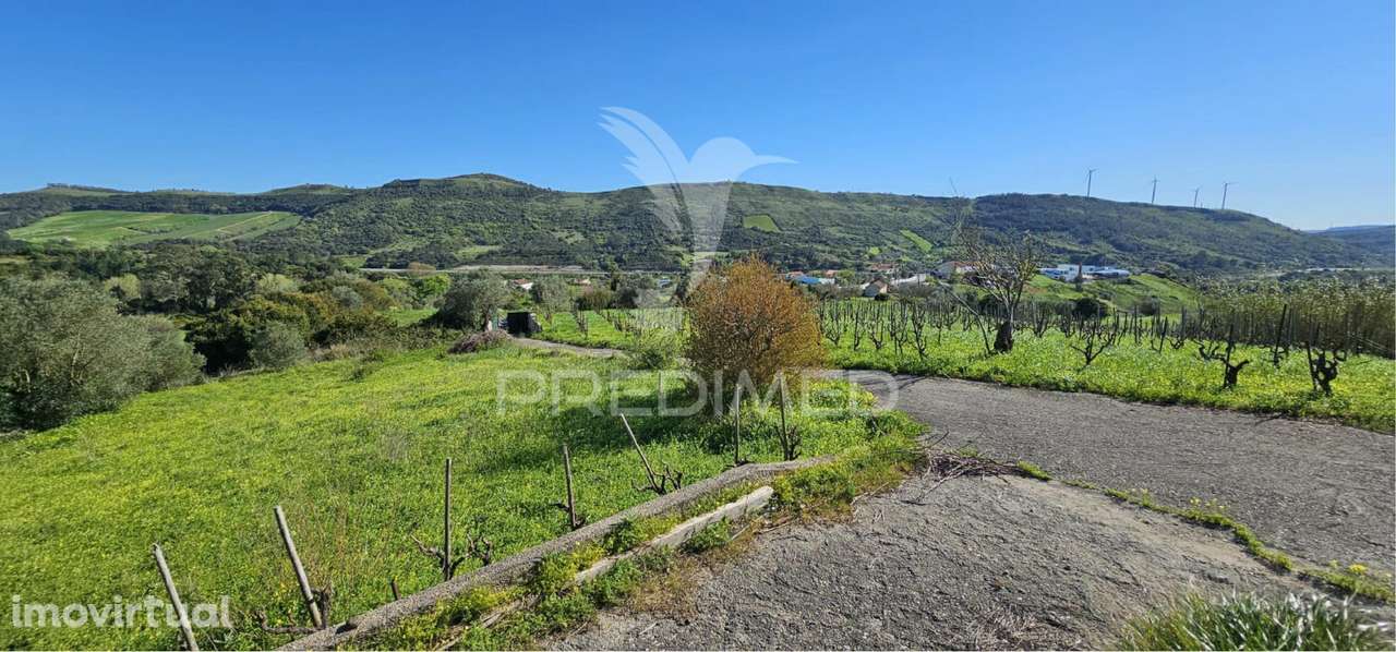 Terreno rústico Bucelas com vinha e furo - Grande imagem: 5/21