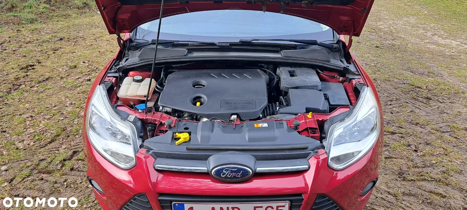 Ford Focus 1.6 TDCi DPF SYNC Edition - 11