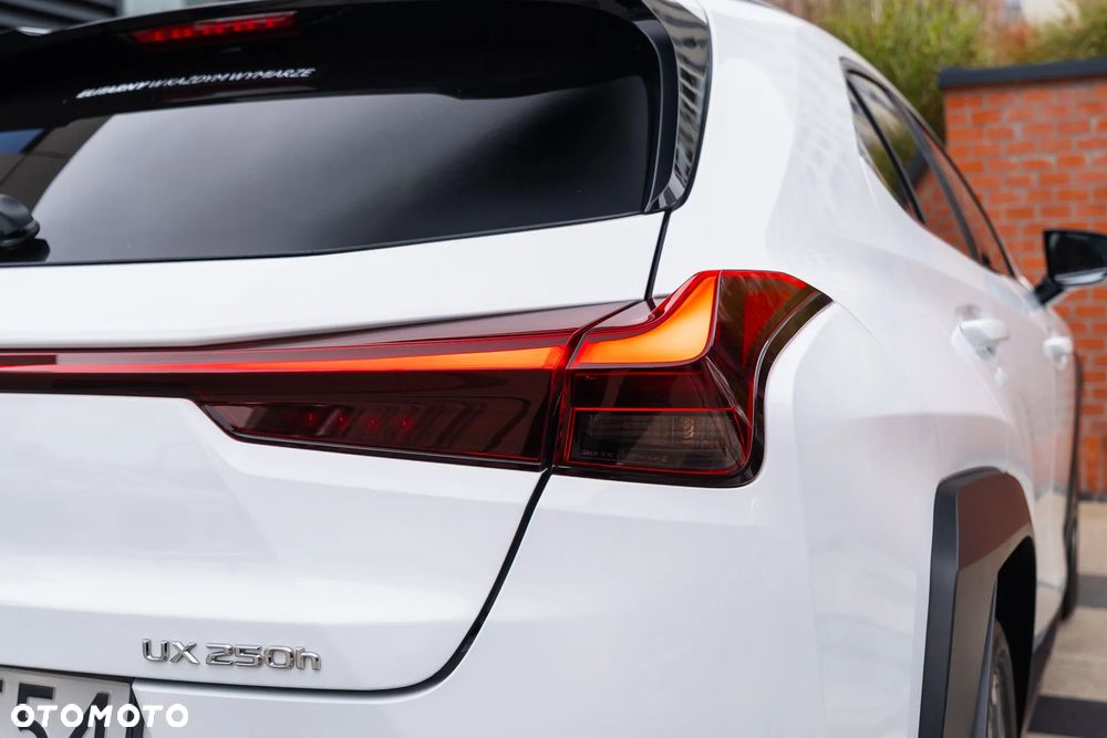 Lexus UX 250h GPF F Sport AWD - 20