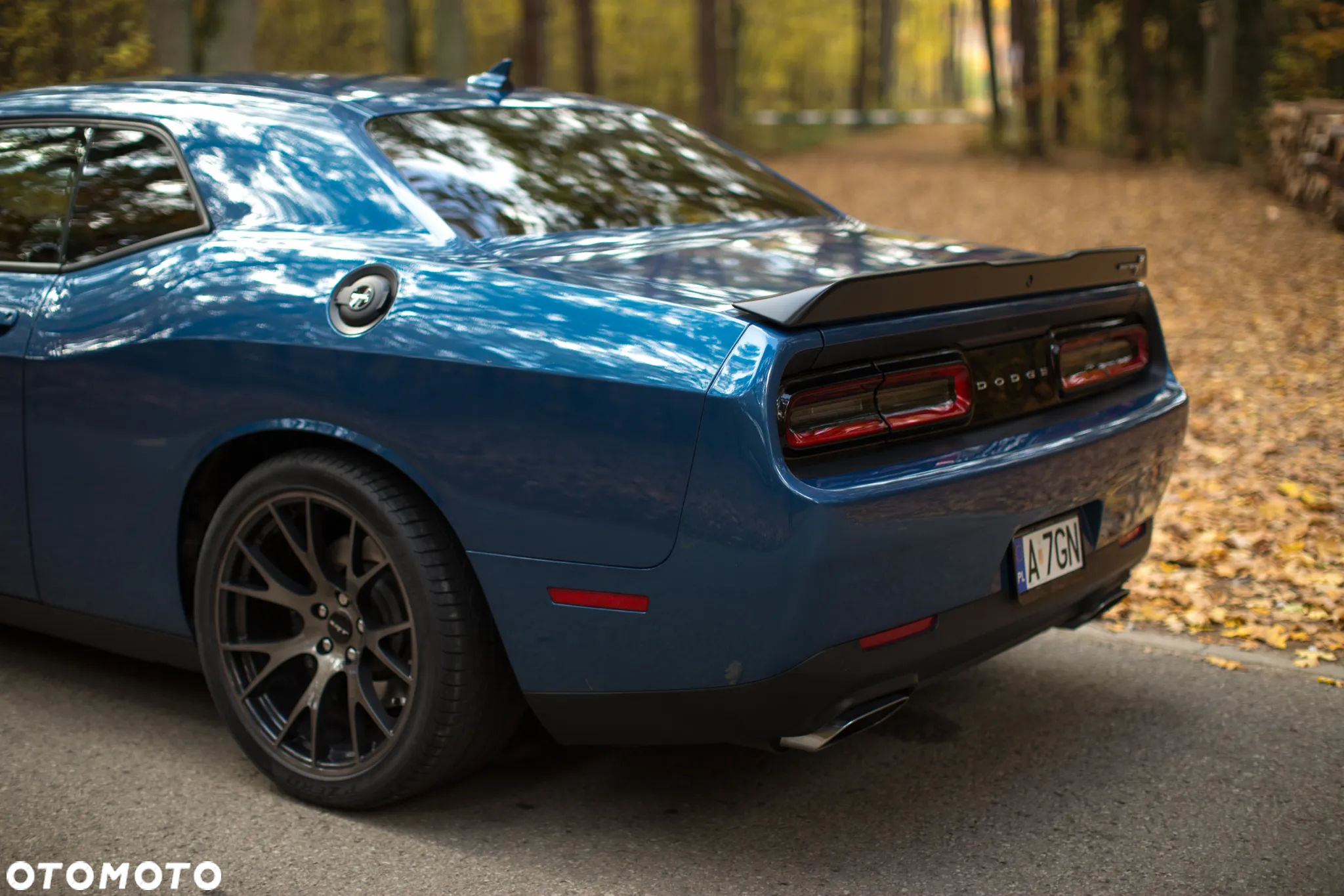 Dodge Challenger - 12