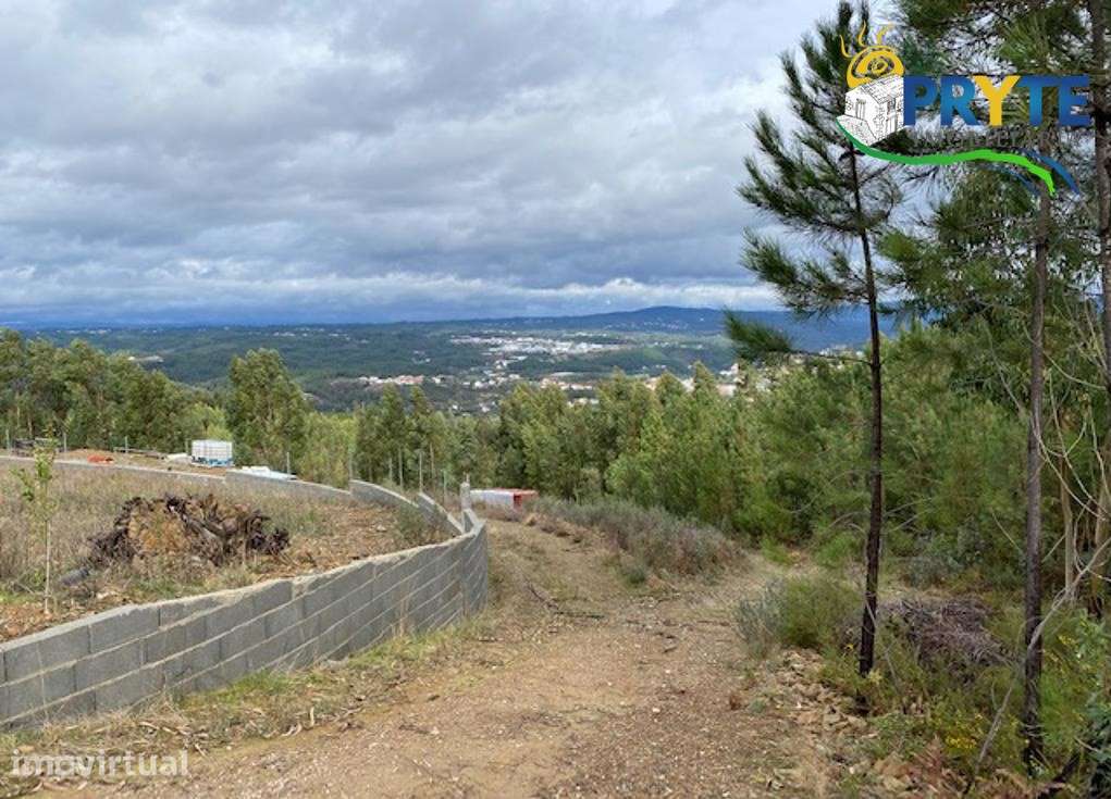 Terreno com 4100 metros quadrados situado perto da Sertã - Grande imagem: 5/8