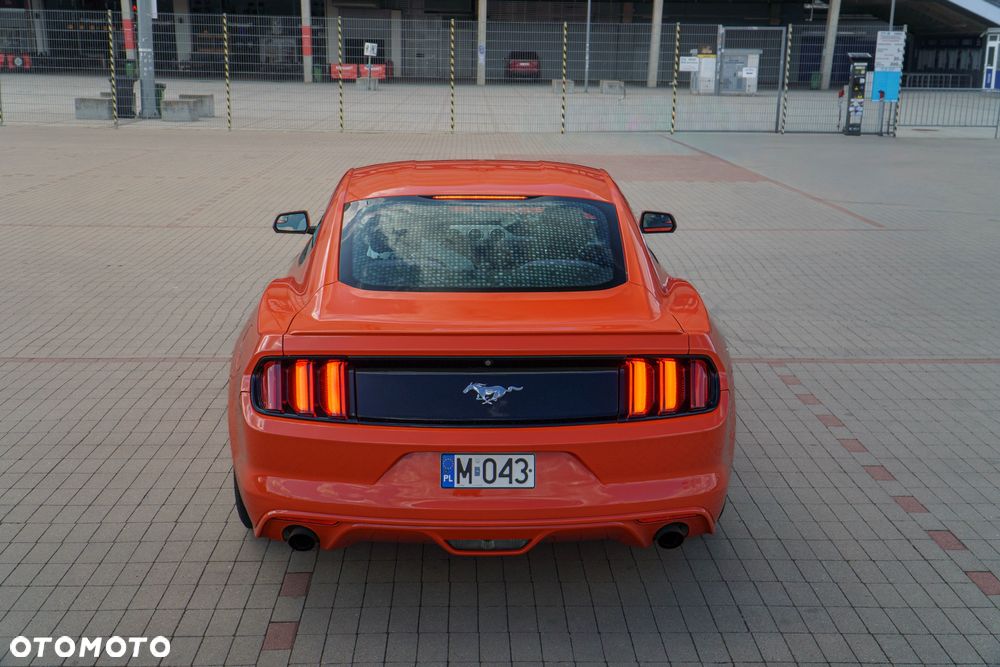 Ford Mustang 2.3 EcoBoost - 9