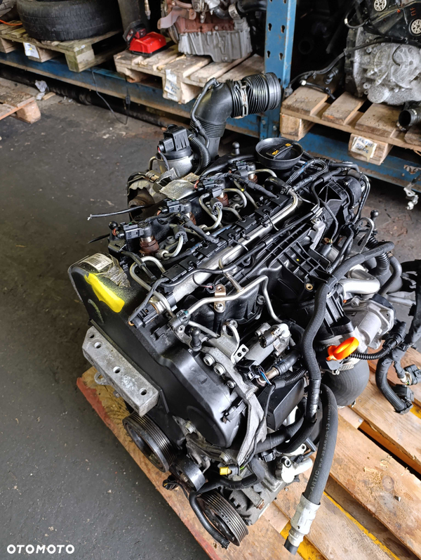Silnik 1.6 TDI Cay Termostat wewnętrzny Vw Golf Caddy Passart Audi