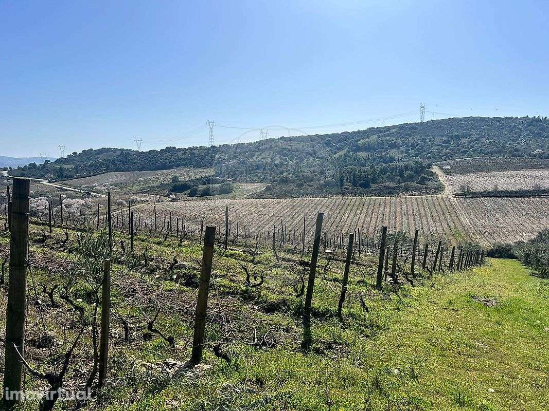 Terreno  para venda - Grande imagem: 4/19