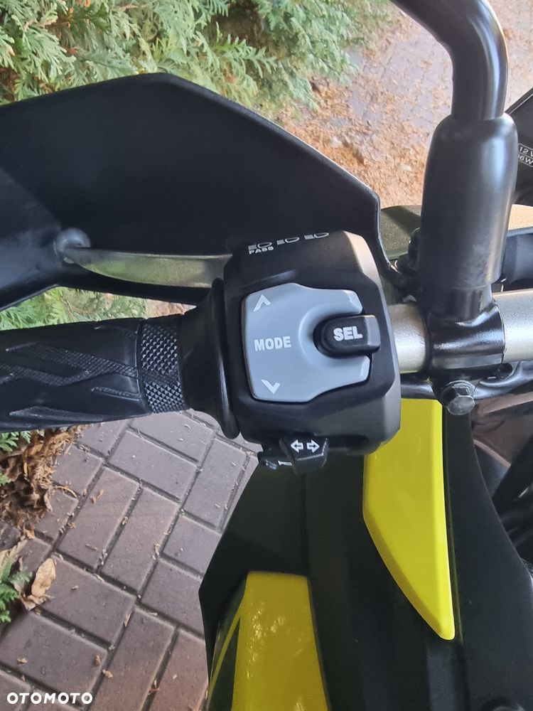 Suzuki V-STROM - 10