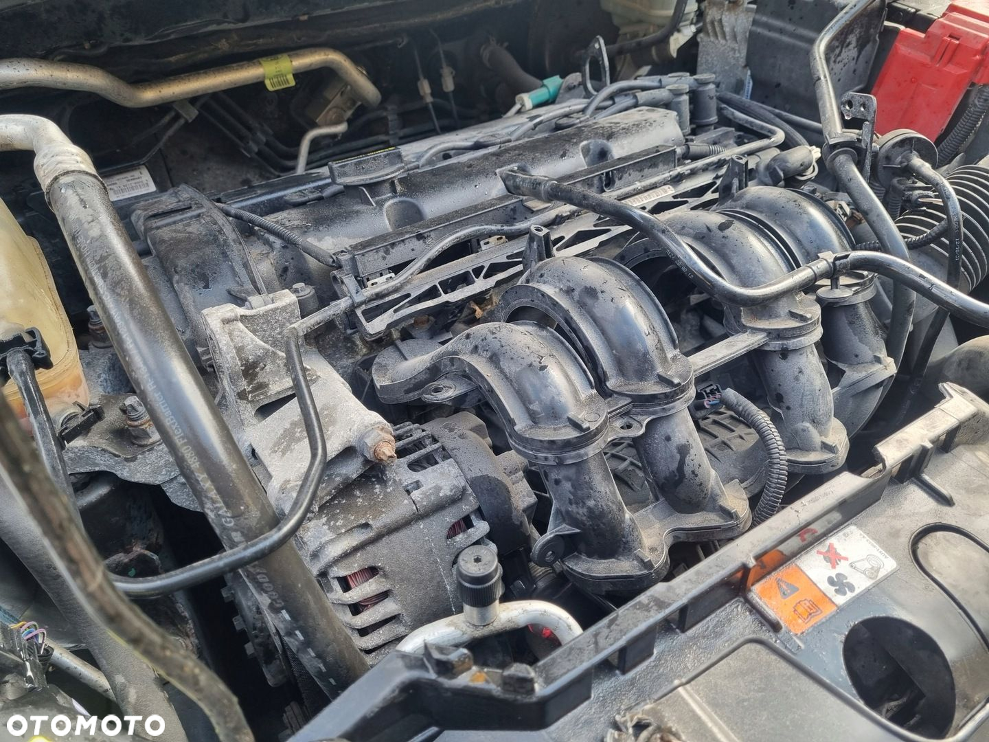 FORD FIESTA MK7 12-17 LIFT 2013 r. SILNIK 1,25 B 44 kW 60 KM 8A6G-6007-AB - 3