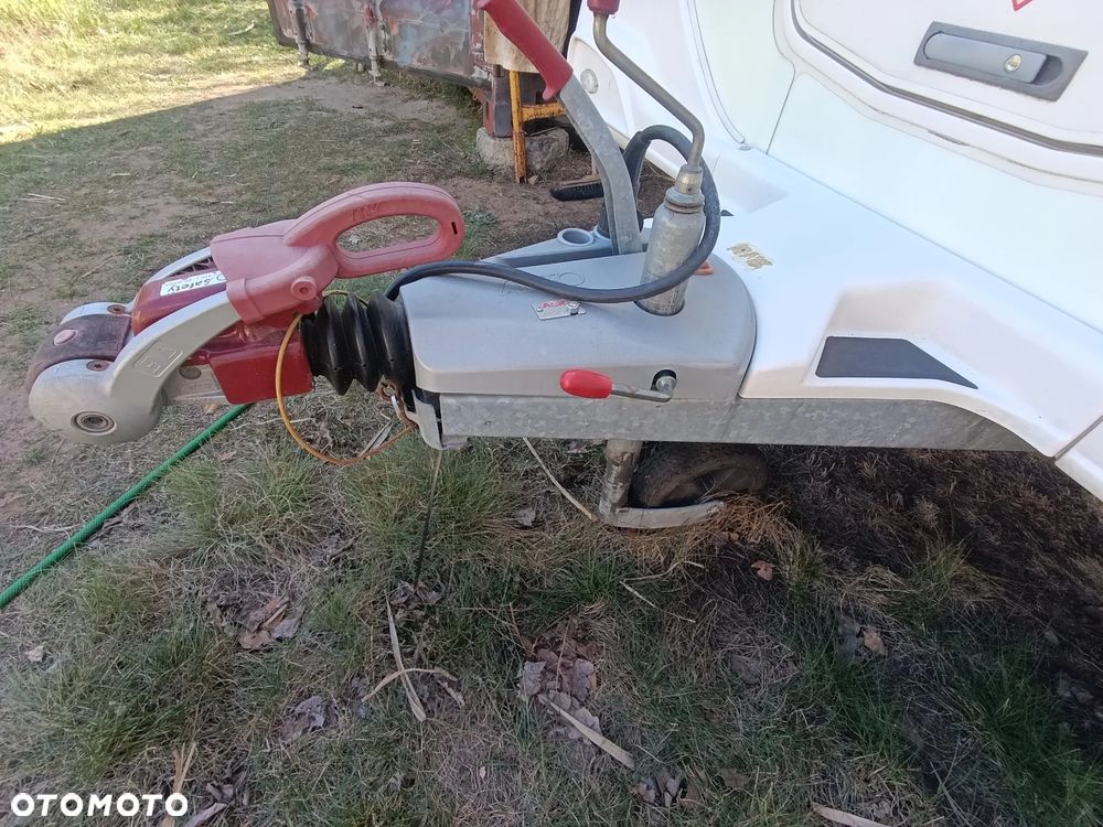 Bailey Unicorn Valencia - 10