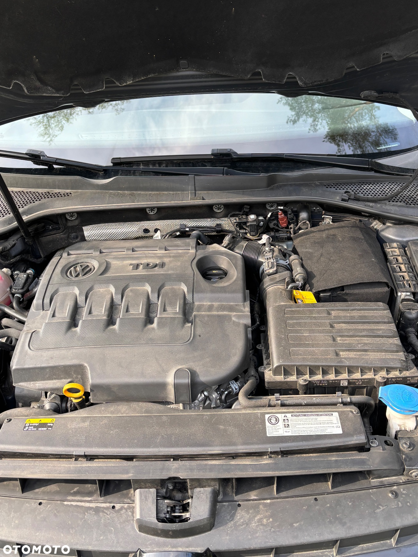 Volkswagen Golf VII 1.6 TDI BMT Comfortline - 7