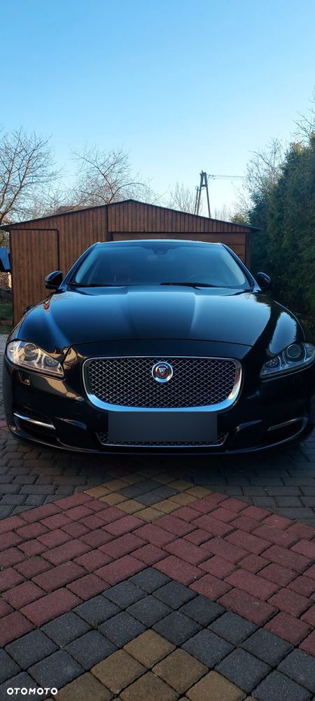 Jaguar XJ 3.0 V6 Kompressor Portfolio - 1