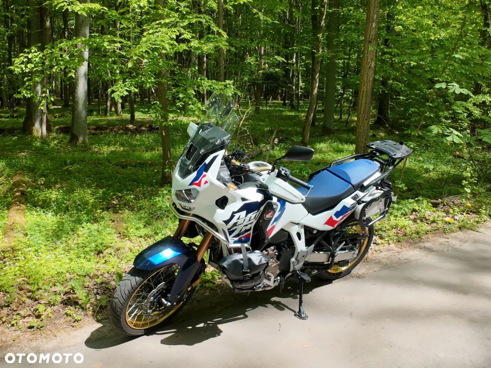 Honda CRF - 19