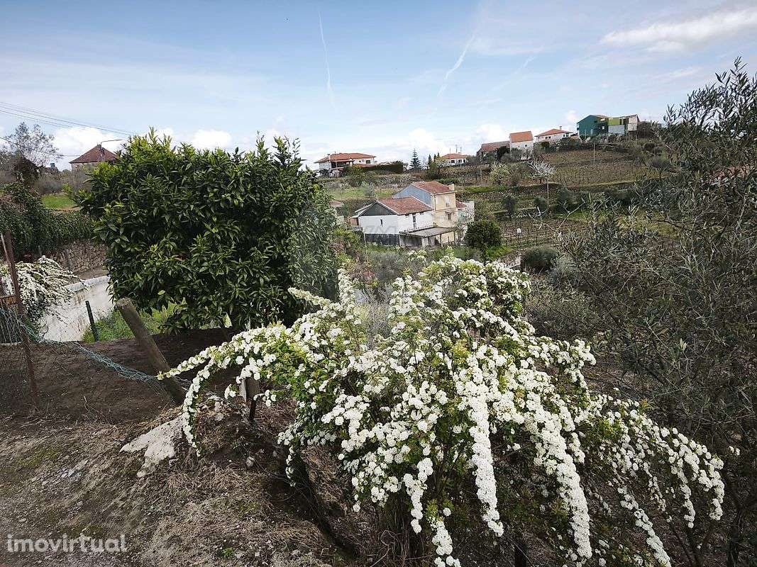 Terreno  para venda - Grande imagem: 4/9