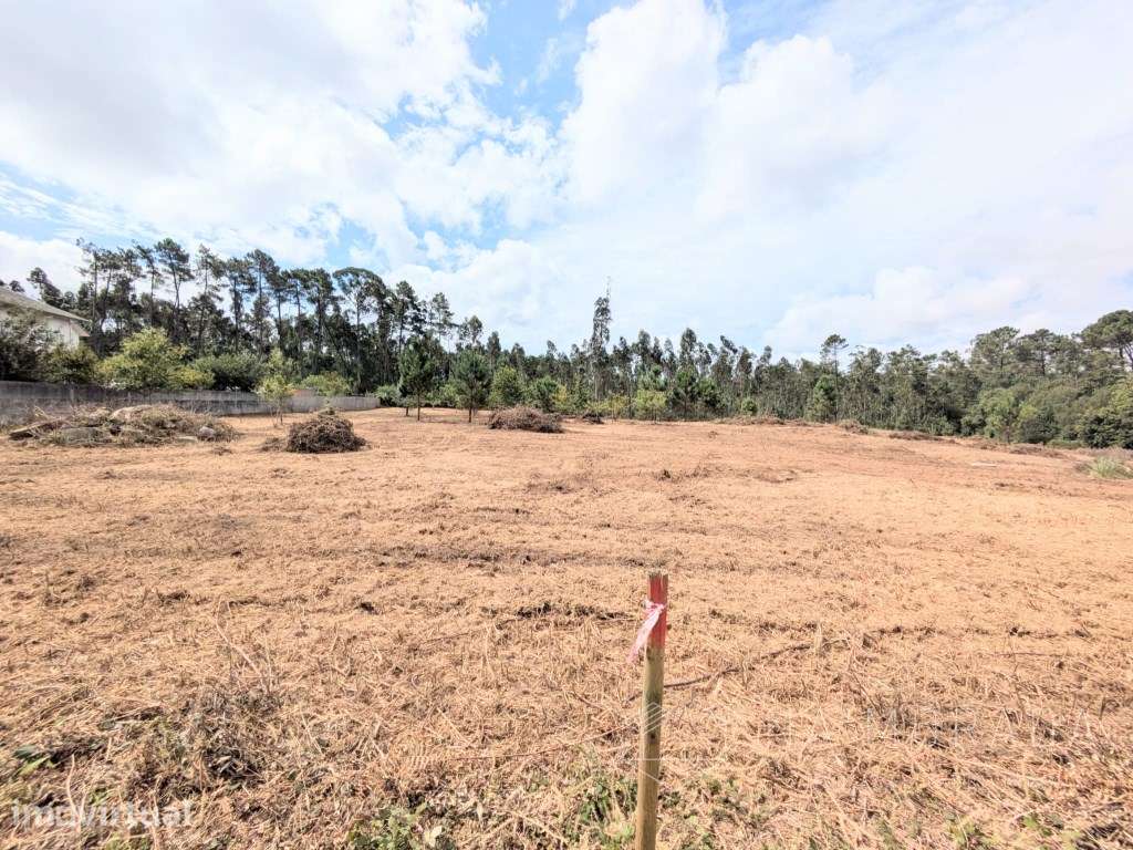 Terreno misto com 11.500m2 em Pigeiros, junto ao nó da A32 - Grande imagem: 2/21