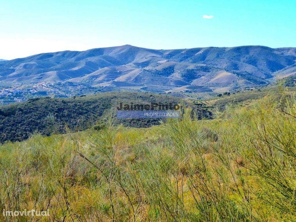 15ha terra agrícola p/ vinha, olival, amendoal. Portugal, V. N. Foz... - Grande imagem: 2/9