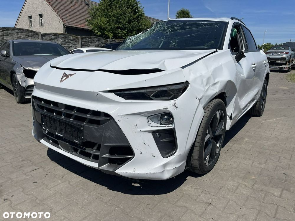 Cupra Terramar 2.0 TSI 4Drive Advantage Edition DSG - 11