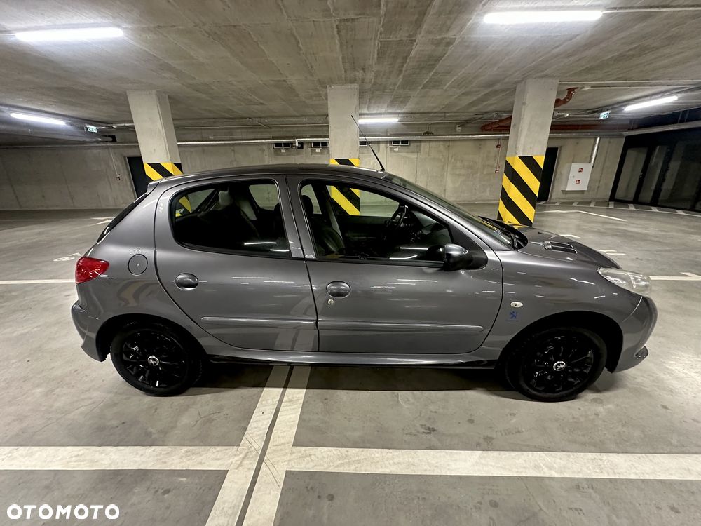 Peugeot 206 plus - 6