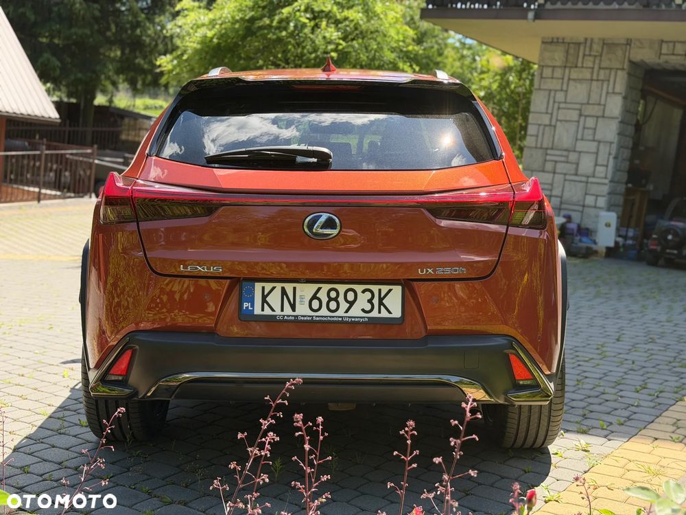 Lexus UX 250h GPF F Sport AWD - 14